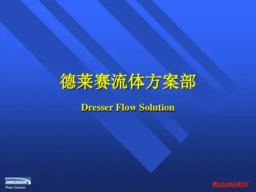 德莱赛梅索尼兰调节阀介绍