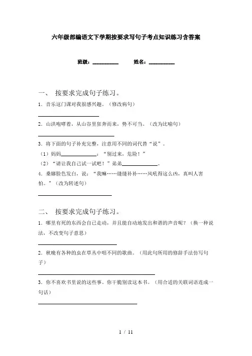 六年级部编语文下学期按要求写句子考点知识练习含答案