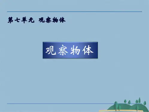 二级上册数学课件-  从前后左右观察物体｜苏教版(共18张PPT)