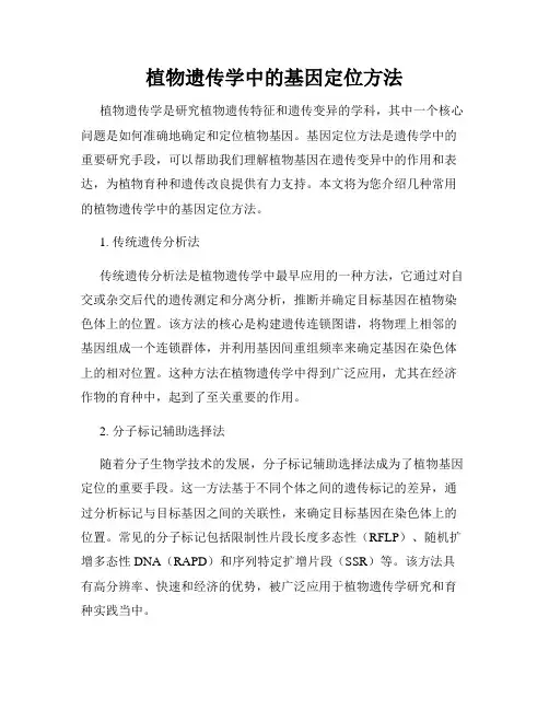 植物遗传学中的基因定位方法
