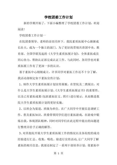 2019年学校团委工作计划-范文资料