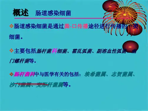 沙门氏菌和志贺氏菌的检测(共57张PPT)