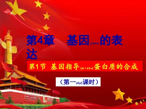 高中生物1基因指导蛋白质的合成(第一课时)课件高一生物课件