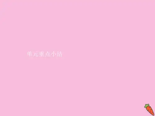 2020_2021学年新教材高中英语Unit2BRIDGINGCULTURES单元重点小结课件人教版必修2