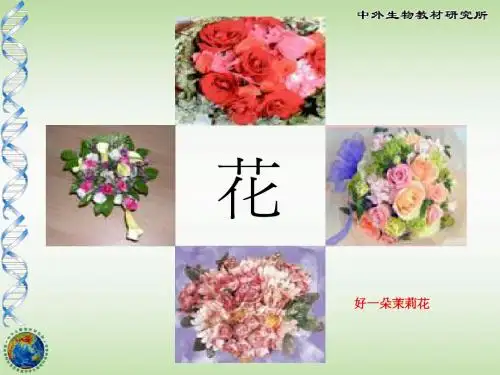 植物的开花和结果