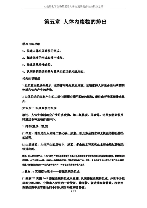 人教版七下生物第五章人体内废物的排出知识点总结