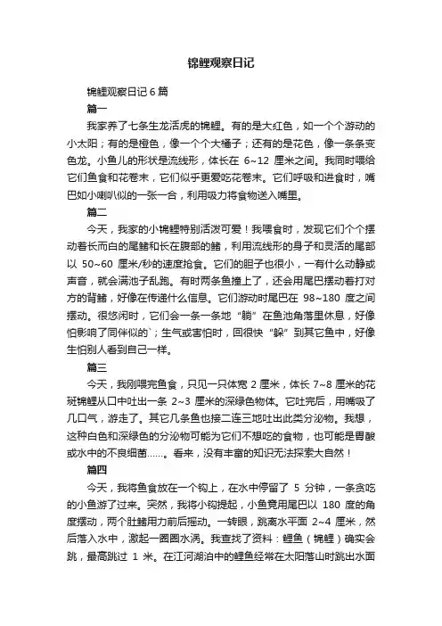 锦鲤观察日记6篇