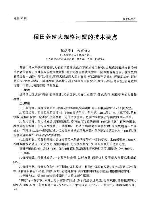 稻田养殖大规格河蟹的技术要点