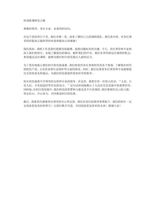 村里迎接调研发言稿9