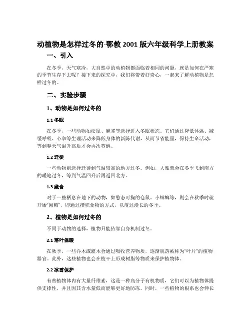 动植物是怎样过冬的-鄂教2001版六年级科学上册教案