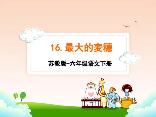 苏教版六年级下册语文 16.最大的麦穗课件