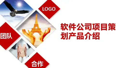 软件公司项目策划产品介绍PPT课件