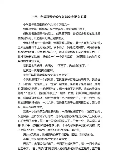 小学三年级观察蚂蚁作文300字范文5篇