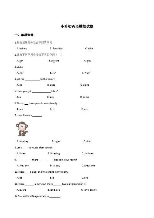 湘少版三起六年级下册英语小升初模拟试题(含答案)