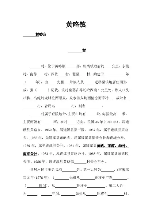 湛江遂溪黄略镇
