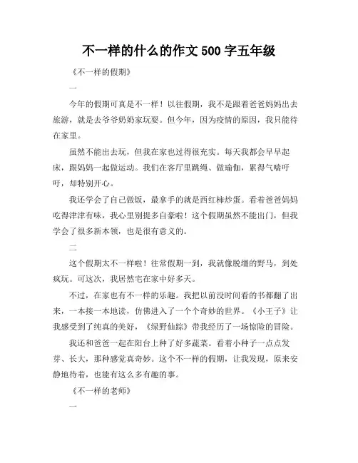 不一样的什么的作文500字五年级