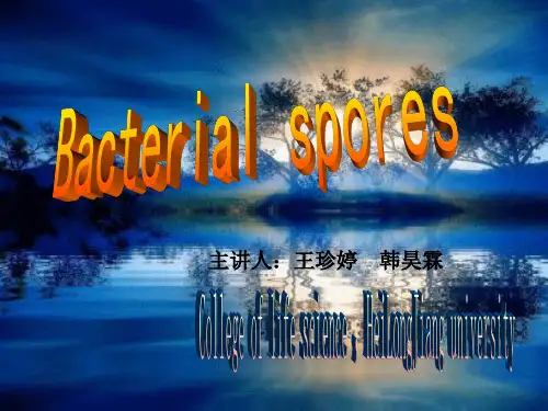 芽孢