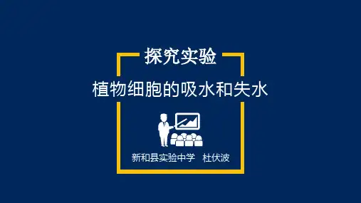 探究植物细胞吸水和失水实验说课课件