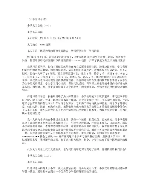 小学见习总结20篇