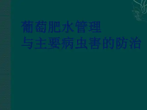 葡萄肥水管理与病虫害防治