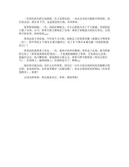 汽车笨笨动画片