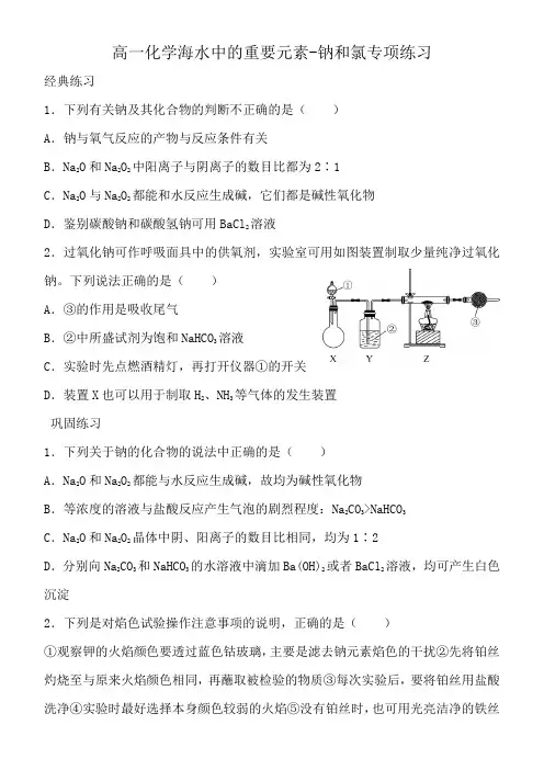 高一化学上册海水中的重要元素-钠和氯专项练习答案及解析