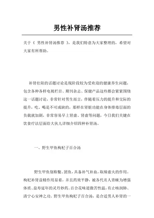 男性补肾汤推荐