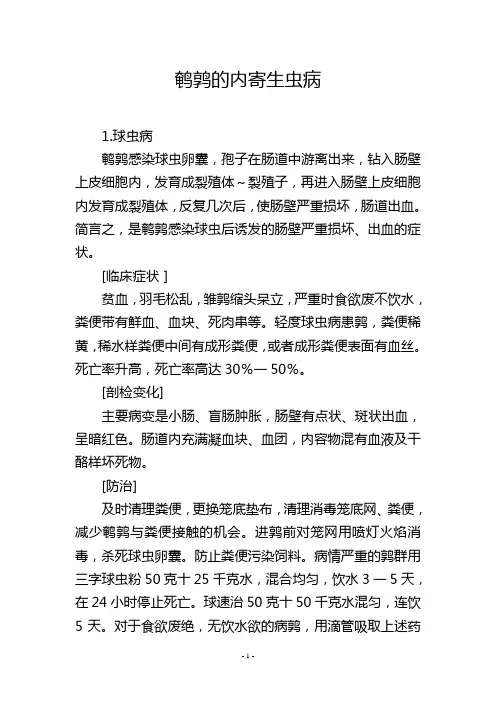 鹌鹑的内寄生虫病