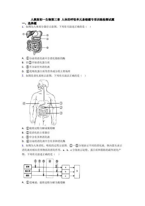 人教版初一生物第三章 人体的呼吸单元易错题专项训练检测试题