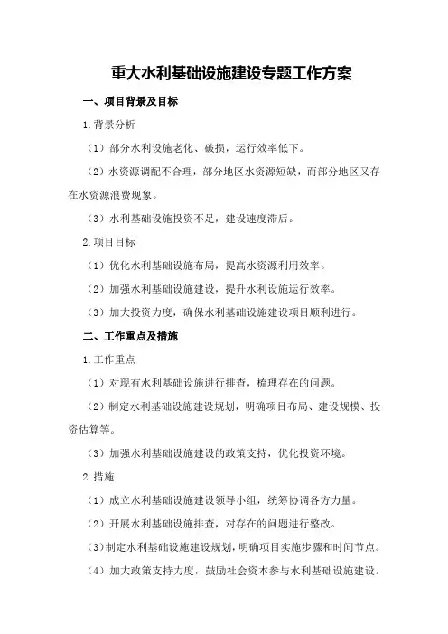 重大水利基础设施建设专题工作方案