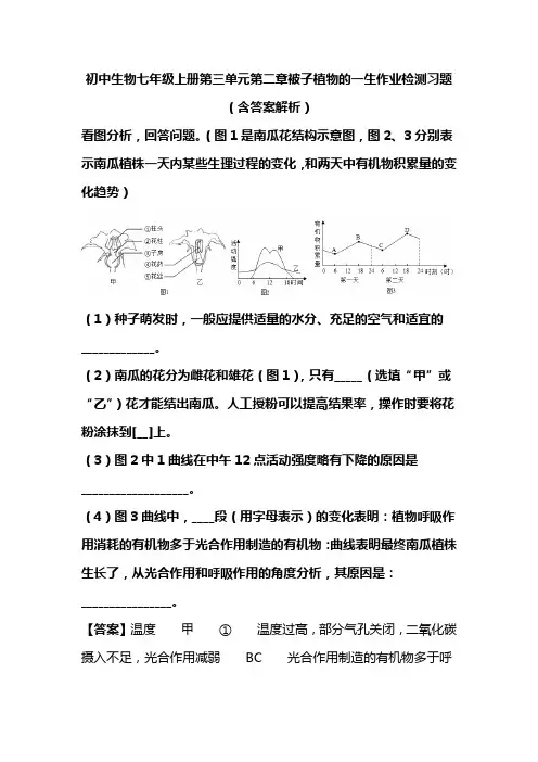 初中生物七年级上册第三单元第二章被子植物的一生作业检测习题(含答案解析)(161)