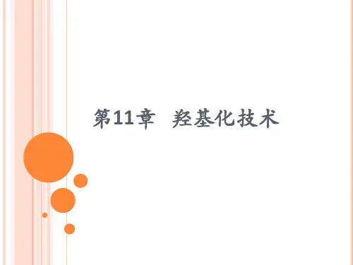 第11章 羟基化技术