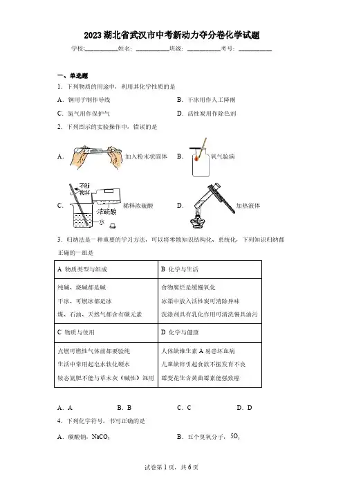 2023湖北省武汉市中考新动力夺分卷化学试题(含解析)