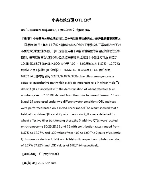 小麦有效分蘖QTL分析