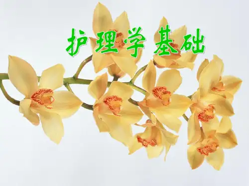 药物过敏试验法PPT课件