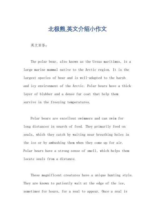 北极熊,英文介绍小作文