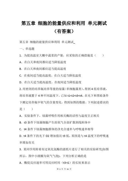 第五章 细胞的能量供应和利用 单元测试(有答案)