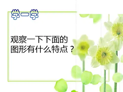 人教版五年级上册美术完整《美丽的纹样》ppt课件