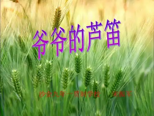 (语文S版)四年级语文下册课件_爷爷的芦笛作者宋振军