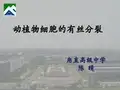 优质课一等奖作品：人教版高中生物必修1《动植物细胞的有丝分裂》[陈晴]