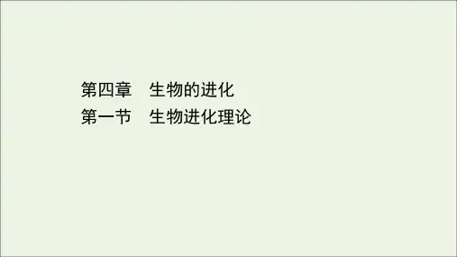高中生物第四章生物的进化1生物进化理论课件苏教版必修2