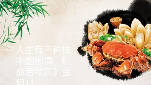 人生有三种根本的困境_《命若琴弦》金句11