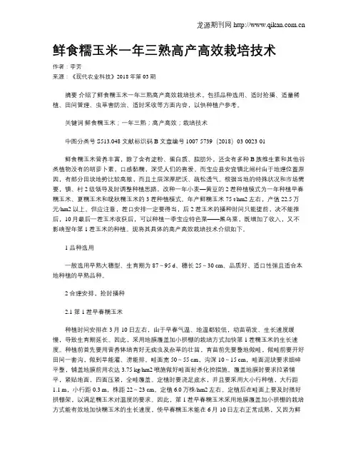 鲜食糯玉米一年三熟高产高效栽培技术