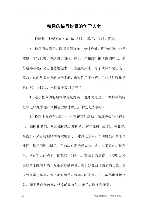 精选的描写松鼠的句子大全