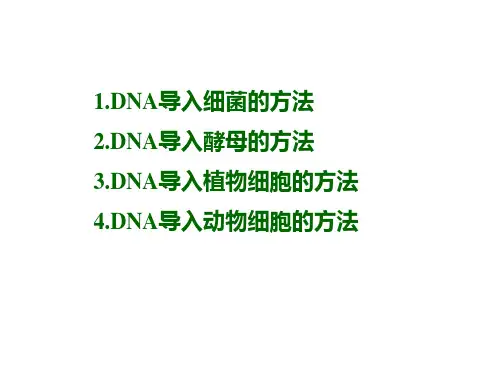 重组DNA导入受体细胞