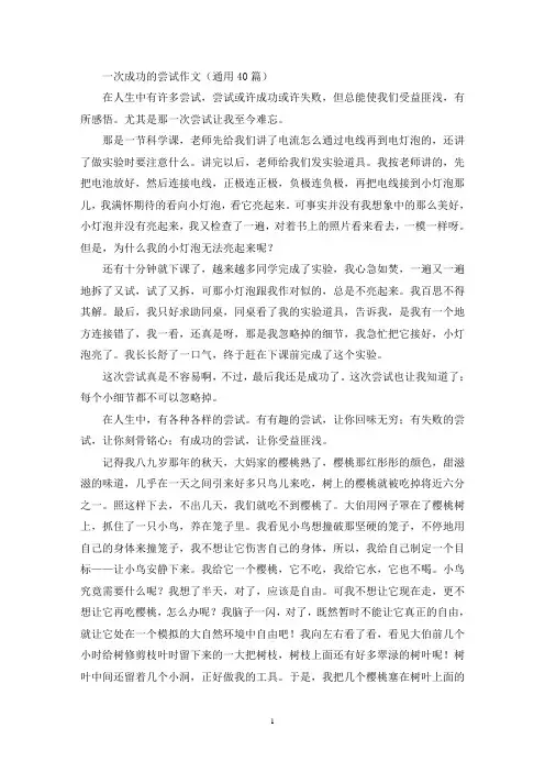一次成功的尝试作文(通用40篇)(精选)