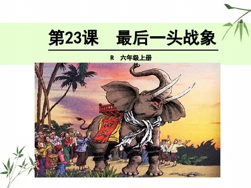 (赛课课件)人教部编版六年级上册语文《最后一头战象》(共29张PPT)