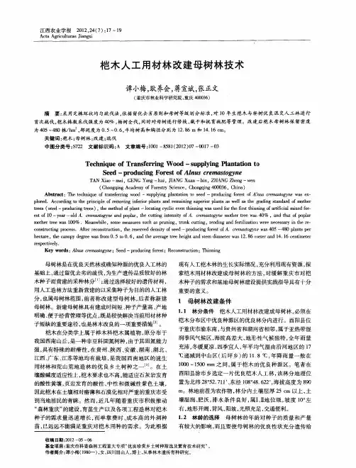 桤木人工用材林改建母树林技术