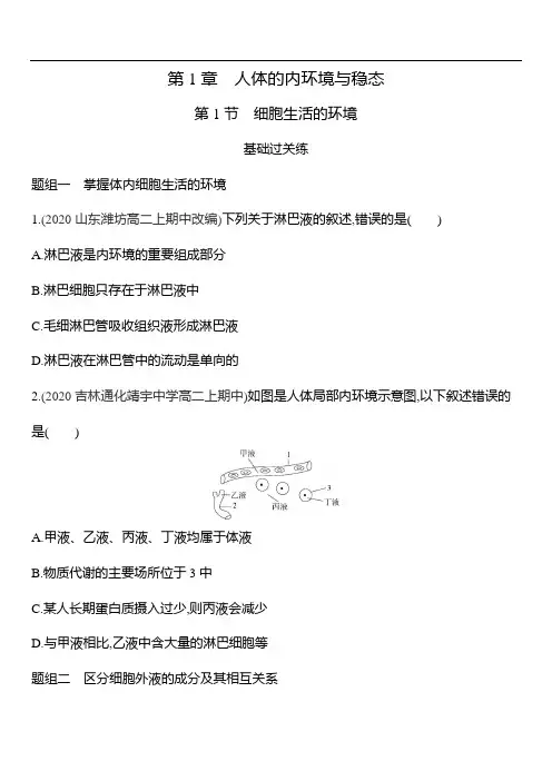 人教版(2019)高中生物选择性必修1练习：第一章 第1节 细胞生活的环境