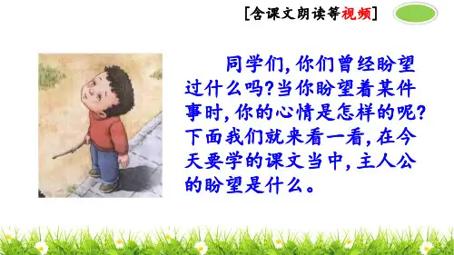 部编人教版六年级语文下册《那个星期天》优秀课件(2课时含视频)